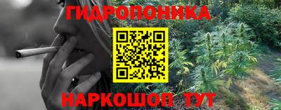 твердый Сланцы