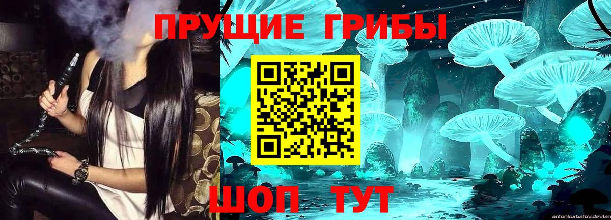 Галлюциногенные грибы Magic Shrooms Обь